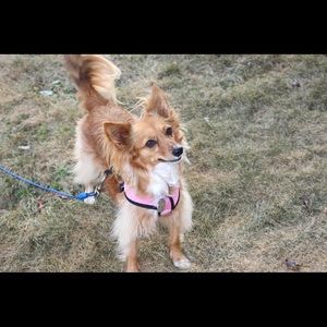 Meet your Posher, Alyssaalyssa